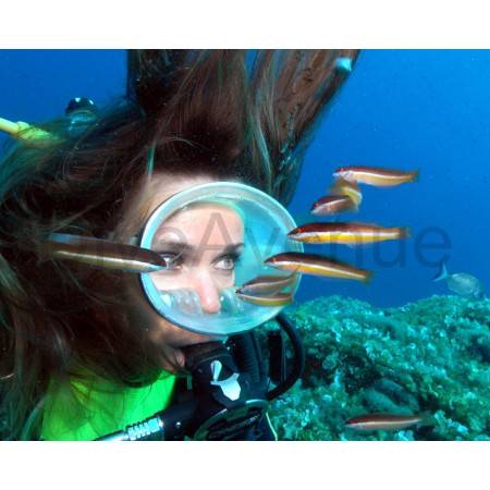 Underwater model's mask