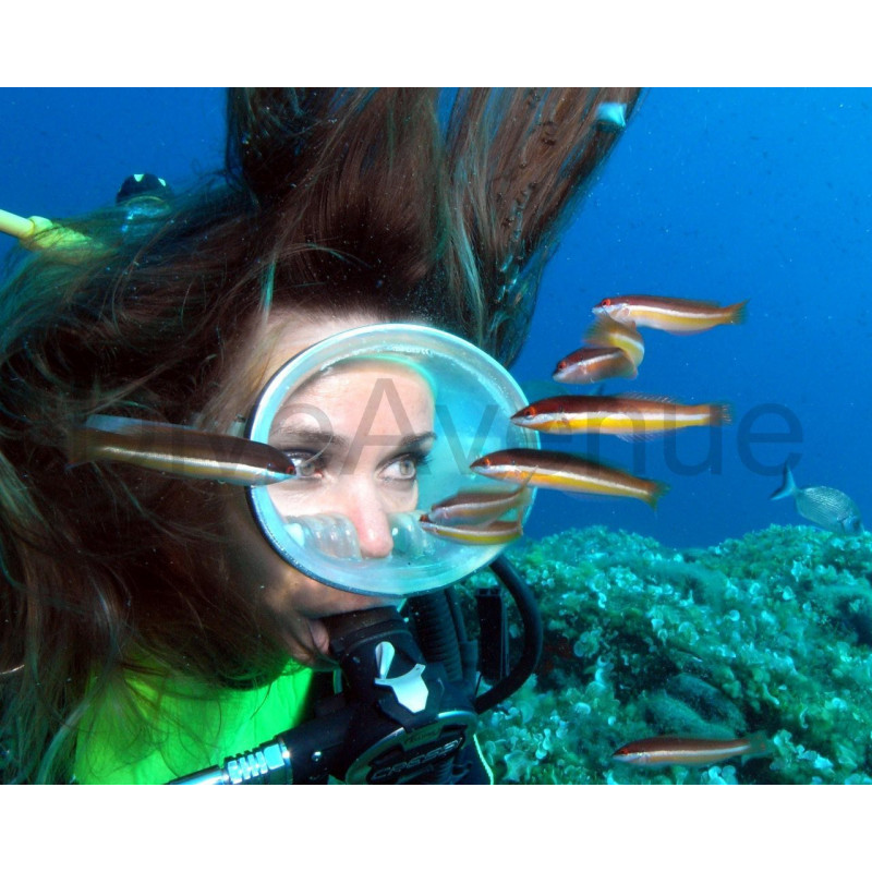 Underwater model's mask Underwater model's mask