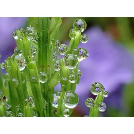 Pack caisson MARELUX pour OM SYSTEM TG7 avec appareil TG-7