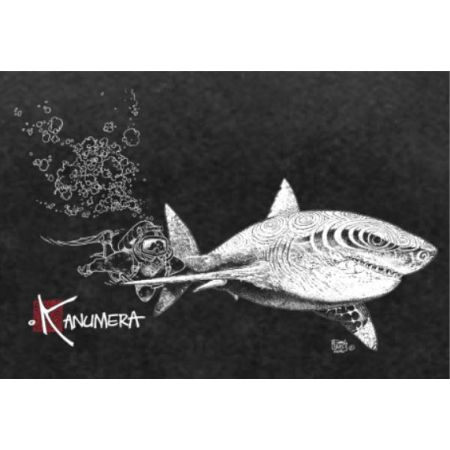 T-shirt Kanumera Homme délavé Le Requin Blanc et le Plongeur