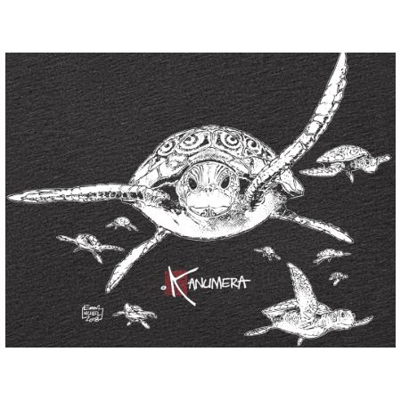 T-shirt Fluide à manches roulottées Les Tortues