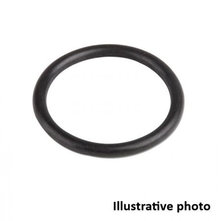 DIVESOFT O-ring