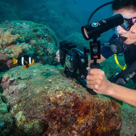 Divevolk SL20 Dive Light