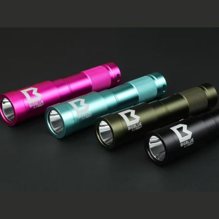 Pack valise Bigblue PC101 + Phare Bigblue AL1300NP