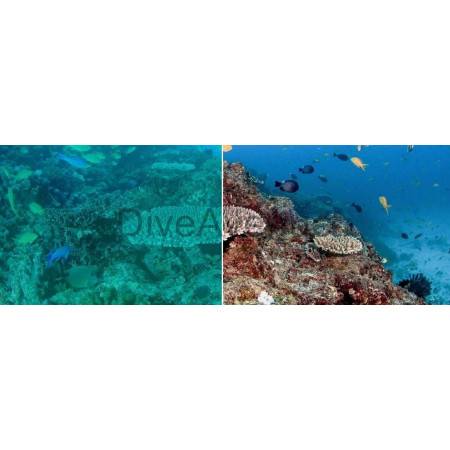 PARALENZ+ Underwater 250m action camera