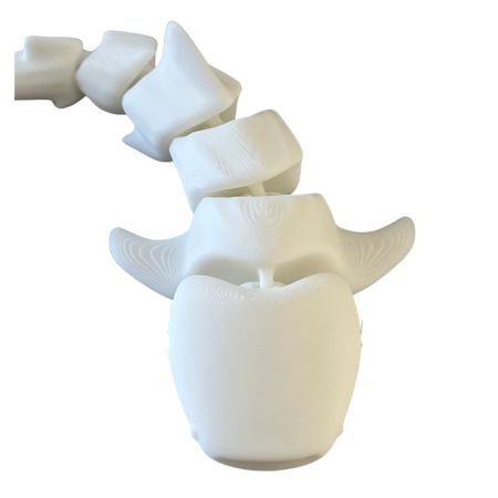 Figurine plongée " Requin baleine"