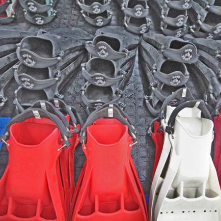 Sangle de palme TECH FINS Divesystem