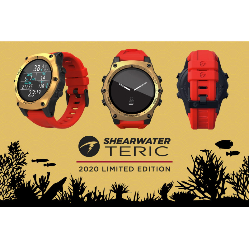 teric dive watch