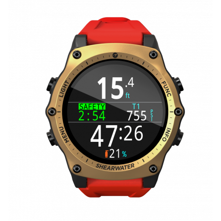teric dive watch