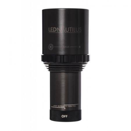 Amonite Led Nautilus Torch