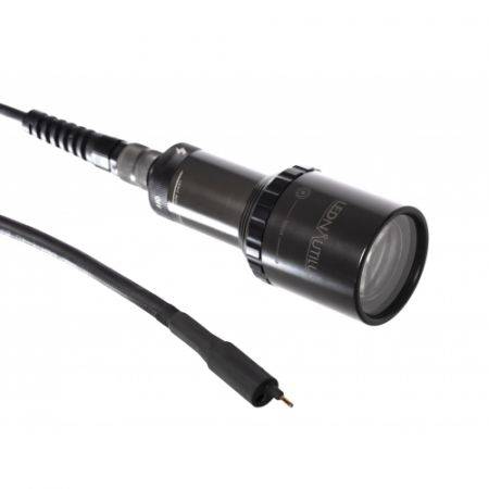 Amonite Led Nautilus Torch