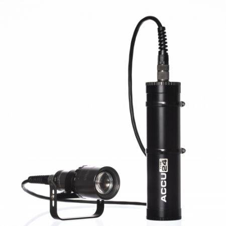 Amonite Led Nautilus Torch