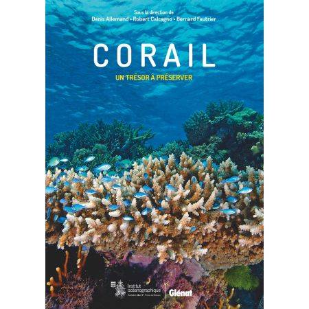 Coral: a treasure to preserve