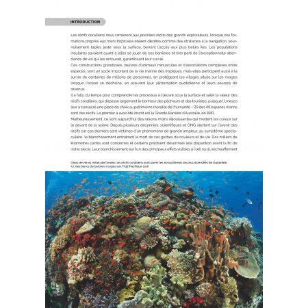 Corail: un trésor à préserver