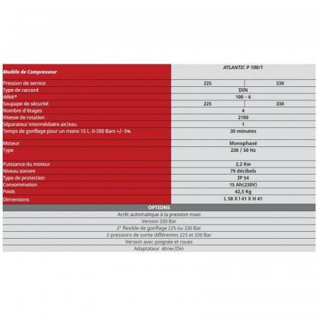 Compresseur NARDI ATLANTIC 6m3 220V électrique