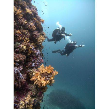 PARALENZ VAQUITA 2nd Gen 4K underwater video camera