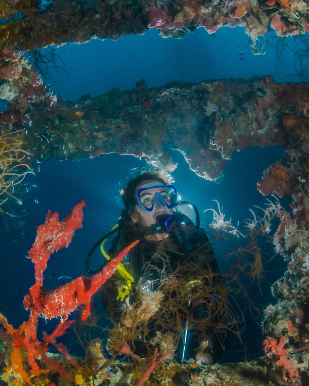 Top 10 wreck diving spots in the Mediterranean