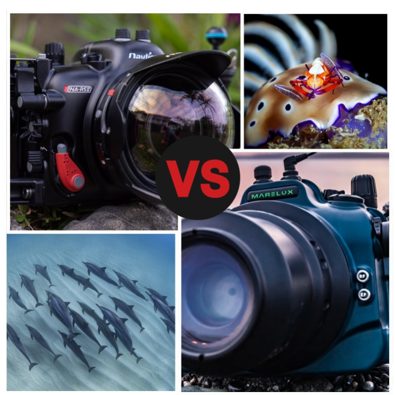 Marelux vs Nauticam: which underwater housing should you choose for your underwa