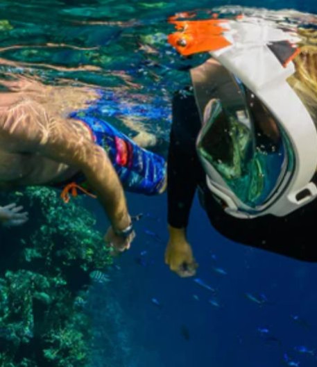Discover the Ocean Reef mask and its communication unit! 
