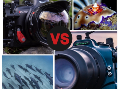 Marelux vs Nauticam : quel caisson étanche choisir pour vos photos sous-marine ?